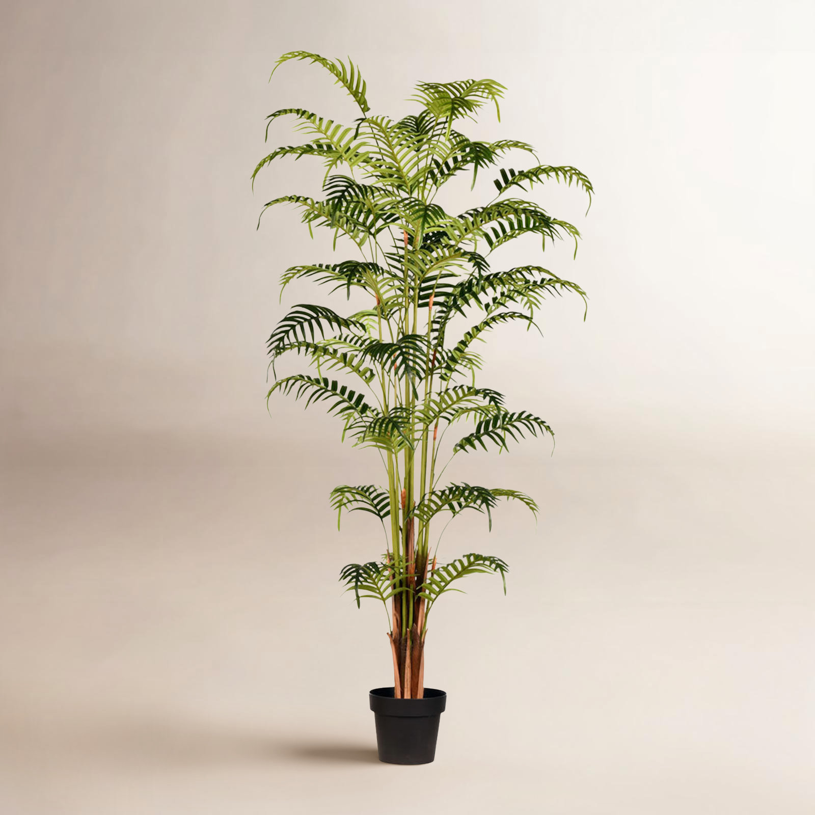 Palm Plant in Pot, 70" H x 22" W x 22" D
