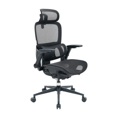 Ergonomic Office Chair, with Adaptive Lumbar Support, 6D Armrests, High Back Office Chair