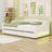 Twin XL Upholstered Daybed with Storage Drawers and LED Light-1435887947