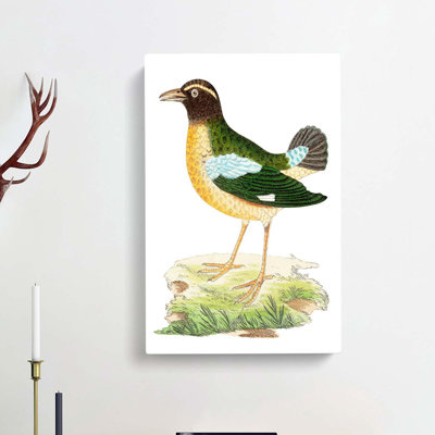 Green Crow by George Shaw - Wrapped Canvas Painting