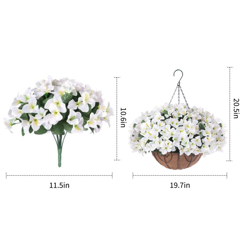 52cm Plant
