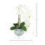 24 " Polysilk Orchid Arrangement