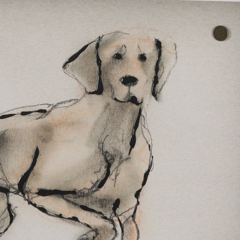 «Harilla Pup V By Studio», œuvre d'art encadrée à la main mate sous verre, H 17,5 po x l 21,5 po, Chiot ludique V