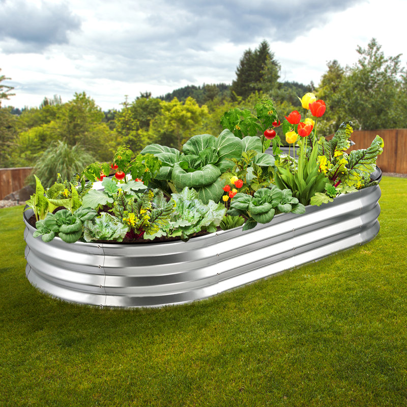 Carlianne Metal Raised Garden Bed