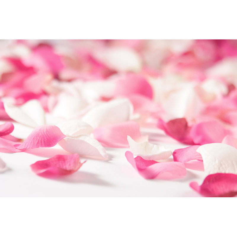 Pink Rose Petals - Wrapped Canvas Print, 30cm H x 46cm W x 3.8cm D