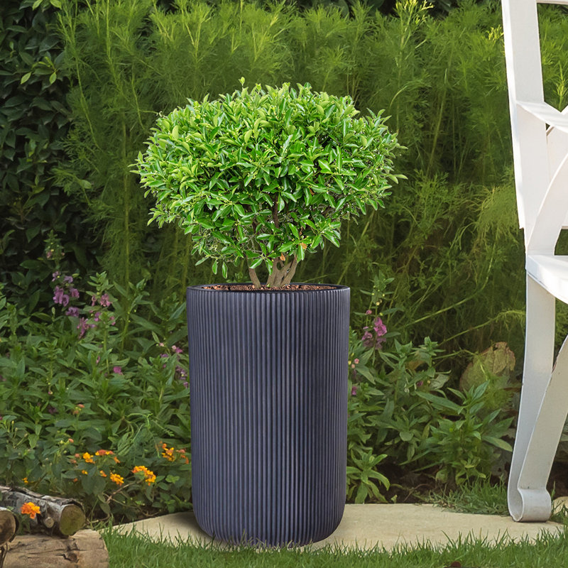 Ribbed Cilinder Planter By Idealist Lite, 36.5cm H x 24.5cm W x 24.5cm D