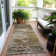 Machine Washable Indoor/Outdoor Xhevrie Brown Rug