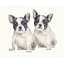 Angel And Alice Print by Sara Brown-26775573-26775578
