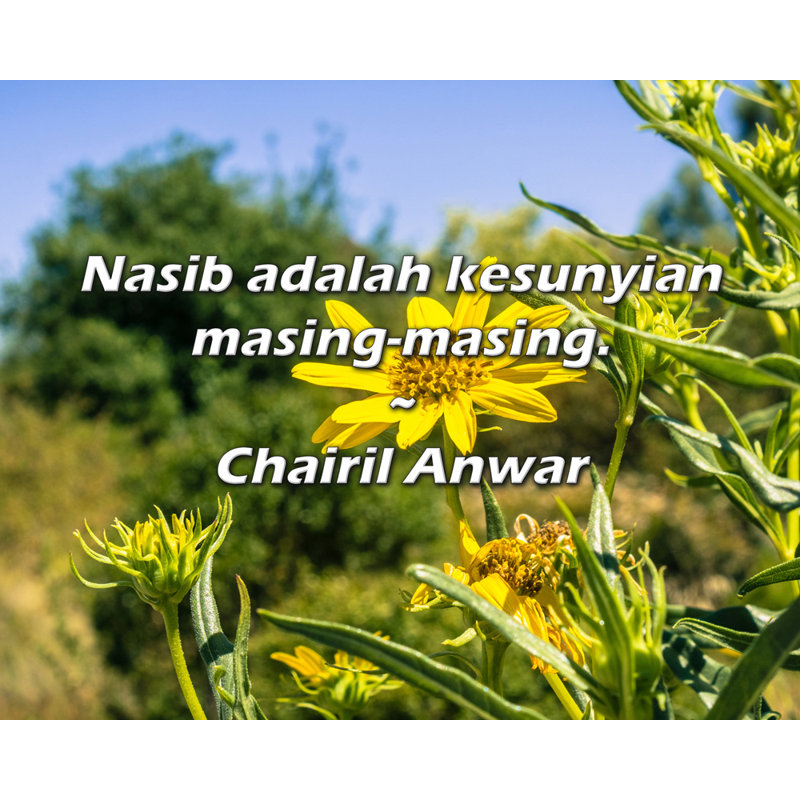 Chairil Anwar Citation: Nasib adalah kesunyian masing-masing., H 15 po x l 18 po