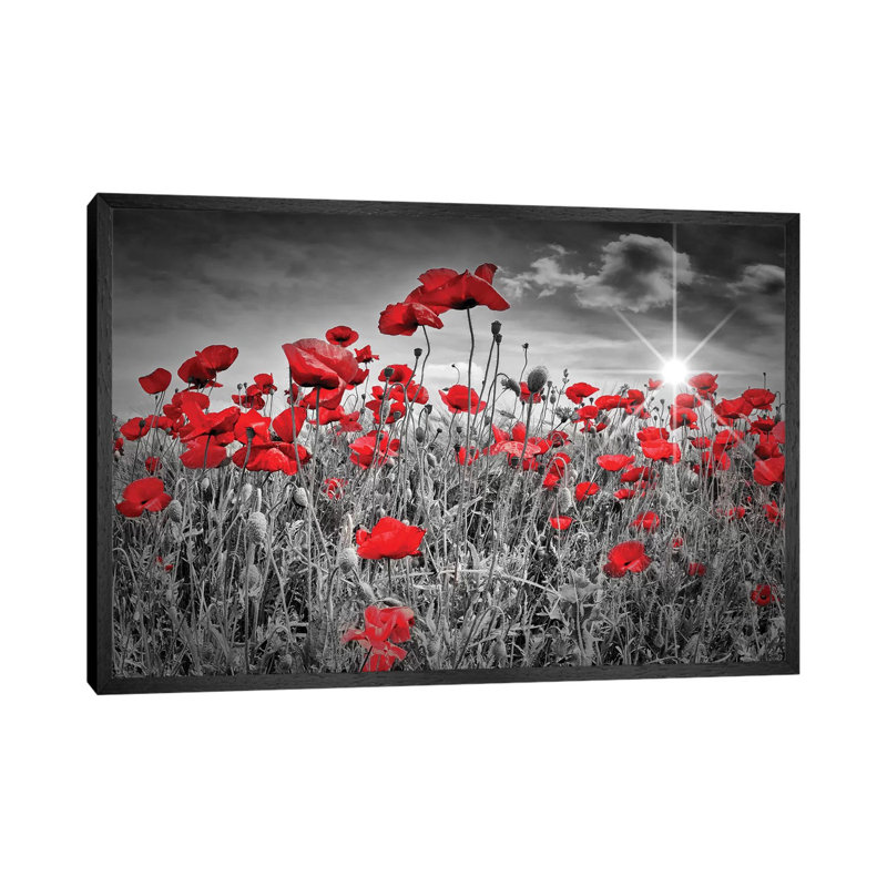 Idyllic Field Of Poppies With Sun by Melanie Viola - Print on Canvas, 152.5 cm H x 101.5 cm W, Black Framed Canvas