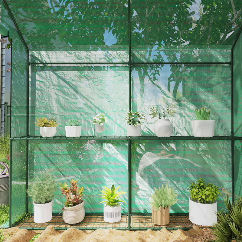 4 Ft W x 6 Ft D Mini Greenhouse