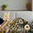 Throw Blanket-742799725