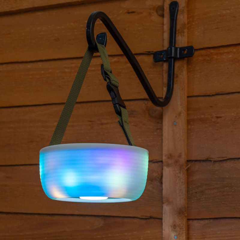 Byrnside 64cm Solar Powered Integrated LED Outdoor Hanging Light