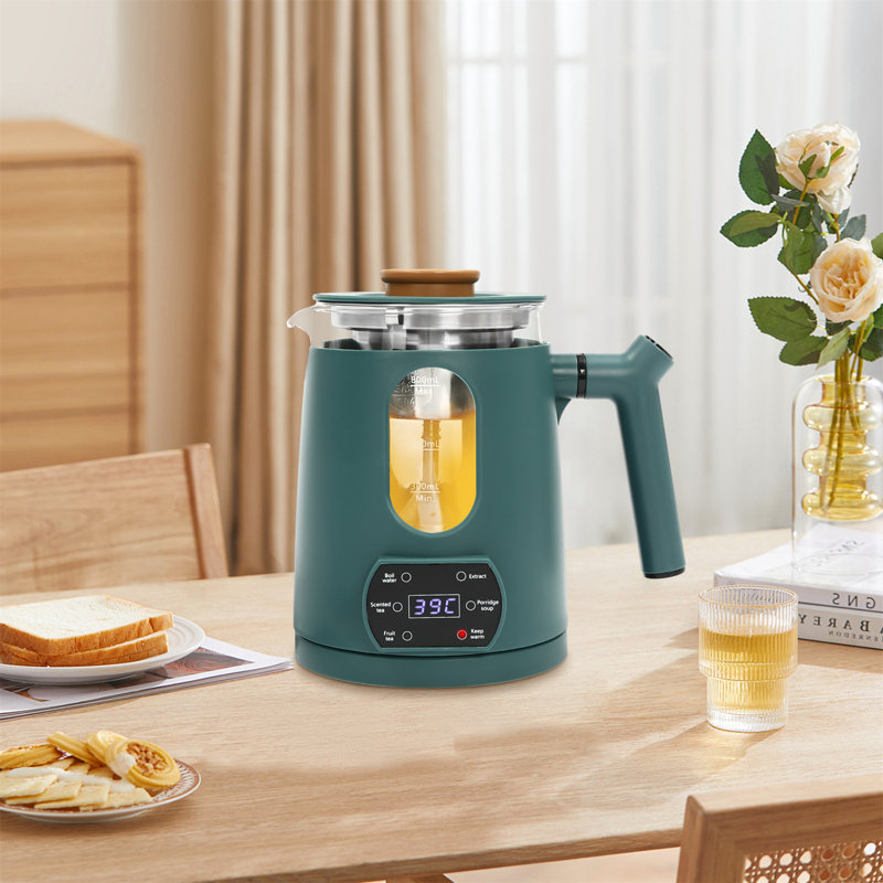 Electric Tea Kettle with Temperature Control, Green