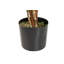 170cm Faux Banana Leaf Plant in Pot