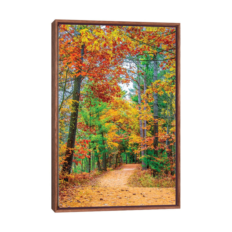 Road to Forest 1 Piece Wall Art on Canvas, 66.04 cm H x 45.72 cm W, Classic Brown Wood Framed