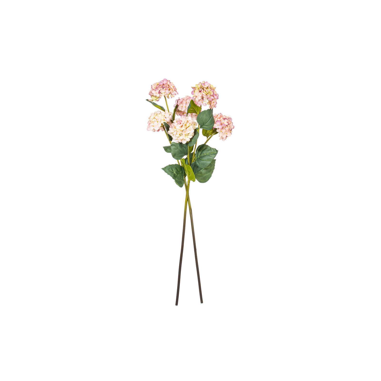 Hydrangea Stem, Lavender