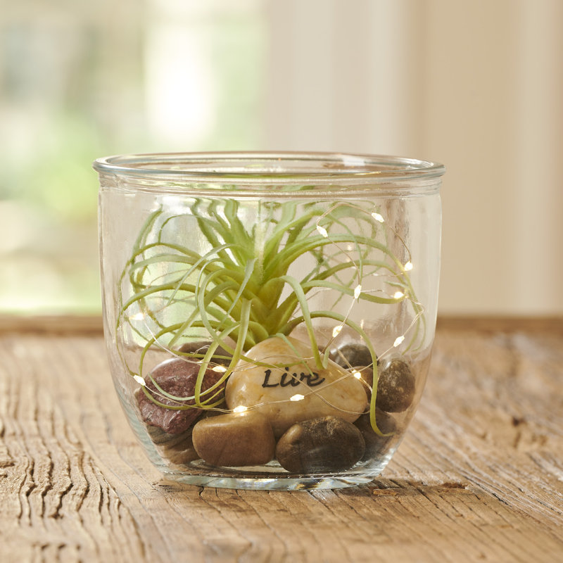 Gazon artificiel en pot