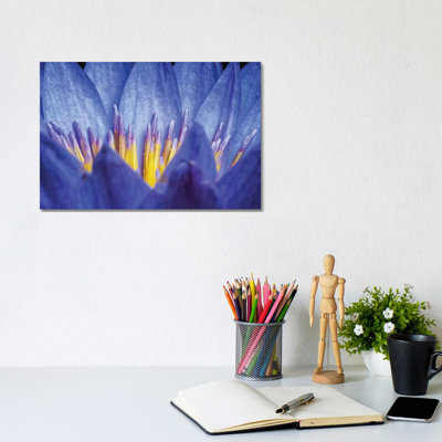 Lotus #2 - Wrapped Canvas Print