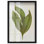 Aged Botanica I Botanical Decor Shadowbox Print by Art Remedy