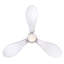 Kudolo Ceiling Fan with LED Lights