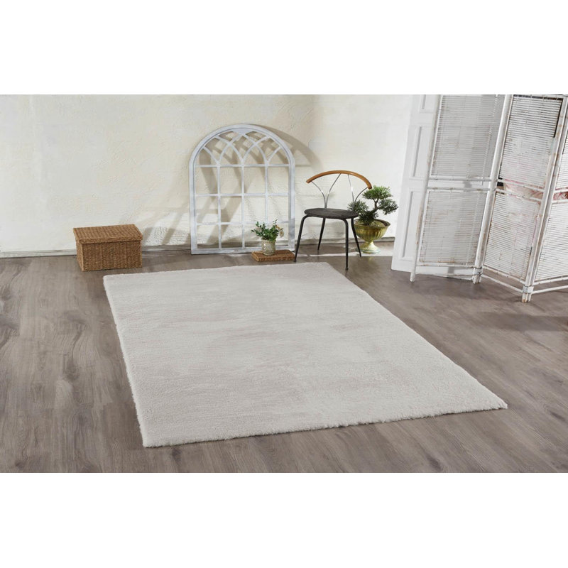 Baotran Clear Area Rug, Rectangle 120 x 180cm