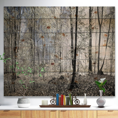 «Landscape Dark Morning in Forest Panorama», reproduction de photo