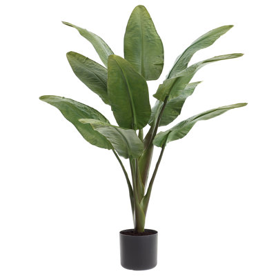 Plantes vertes 90 po Bird of Paradise