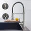Robinet de cuisine en nickel brossé avec douchette rétractable à poignée simple et robinet de cuisine à un trou pour évier extérieur