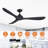 Garuda 56'' 3 - Blade Propeller Ceiling Fan with Remote Control without Lights-825060954