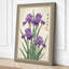 Purple Iris Study Japandi 1 Piece Wrapped Canvas Wall Art-231853506-231853533