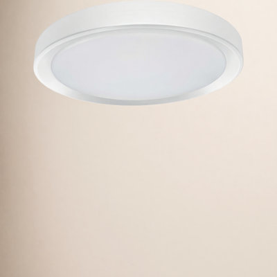 Single Light LED Flush Mount