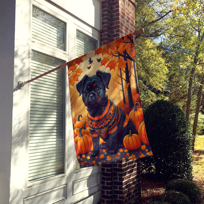 Drapeau de maison en polyester à double face H 40 po x l 28 po