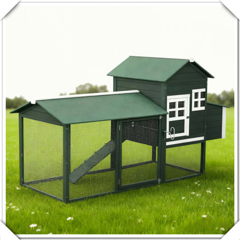 Cage à poulailler extérieure extérieure