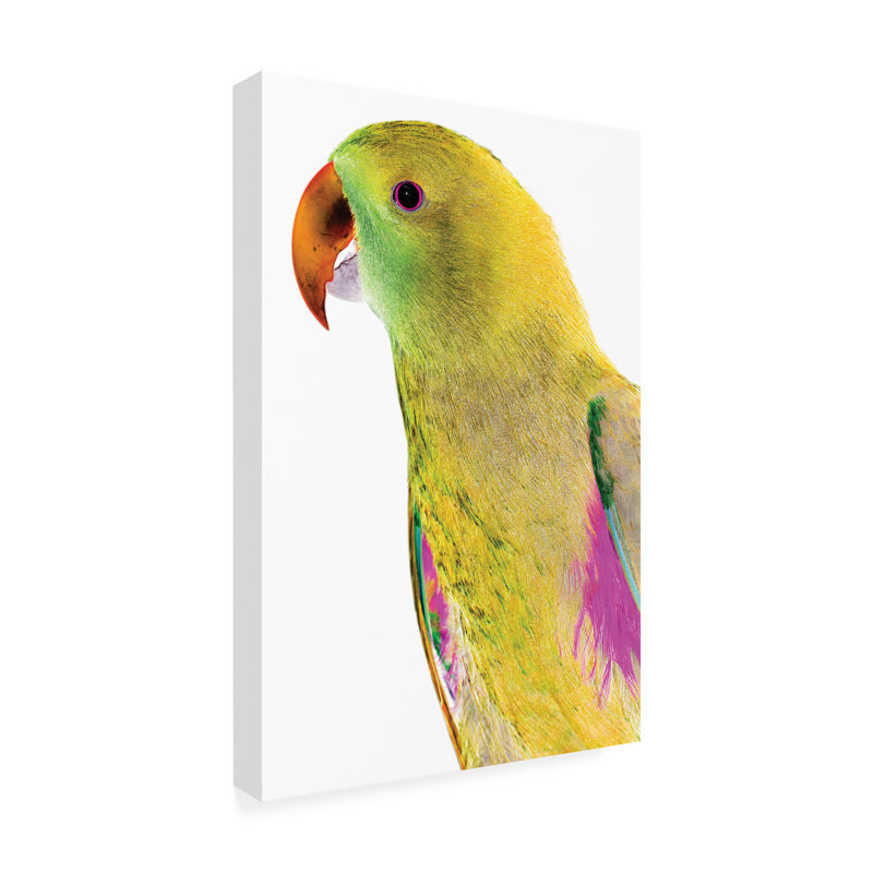 Polly par Clint, H 32 po x l 22 po x P 2 po