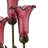 21.5"H Alianys 3 Light Lily Table Lamp-1920609416