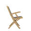 Folding Patio Dining Armchair with Cushion