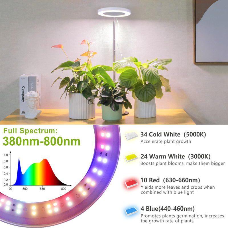 Grow Light, LED Plant Light For Indoor Plants Growing, Full Spectrum Desk Growth Lamp With Automatic Timer For 4H/8H/12H, 4 Dimmable Levels, Height Adjustable 9.8"-30.6"