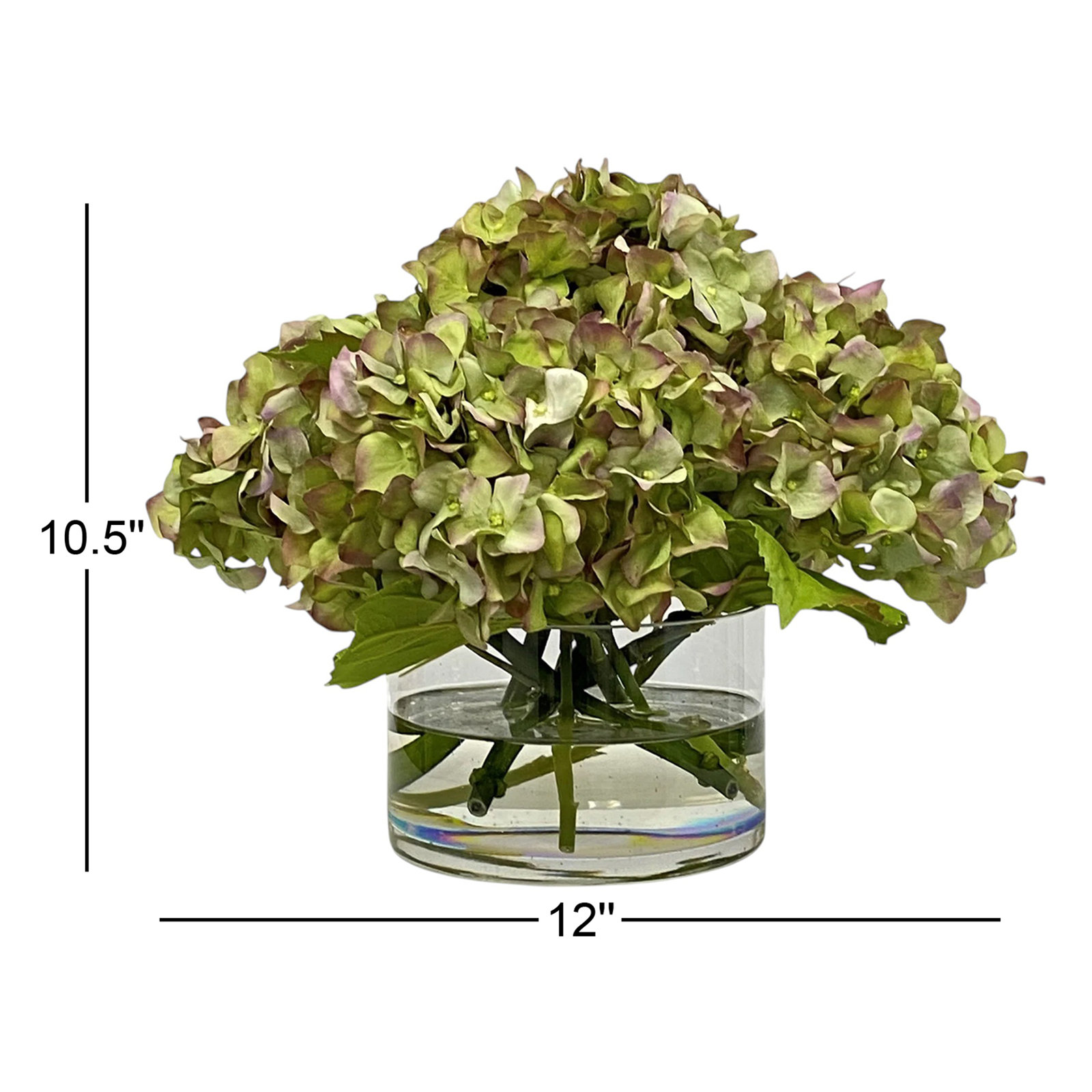 HYDRANGEA IN CYLINDER, Green