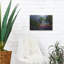 August Grove «Glorious Springtime» par Gary Adams, art mural en métal, 16 po x 12 po-1643538519