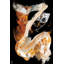 Bonfire 2 Print by Ngo, PC-210690296