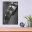 «Feather Shadow II» par Debra Van Swearingen-992105554