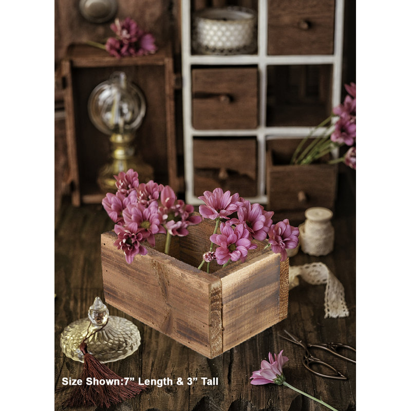 Mini boîte à fleurs en bois 7 po Serene Spaces Living, paquet de 6