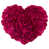 Rose Red selected