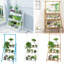 Hunley Plant Stand 3 Tier-951594560-951594561