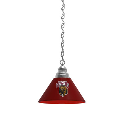 1 - Light Single Pendant