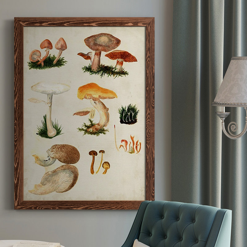 Mushroom Species IV, peinture sur toile encadrée, Érable, H 43,5 po x l 27,5 po x P 1 po