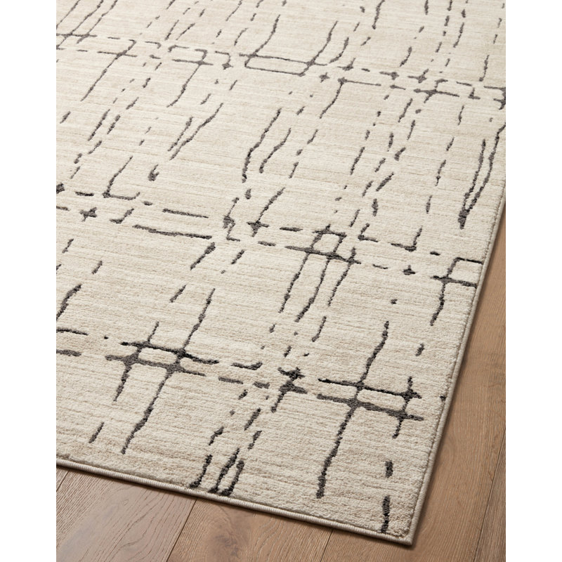 Tapis sable / gris foncé Loloi Darby, Rectangle 11 pi 6 po x 15 pi