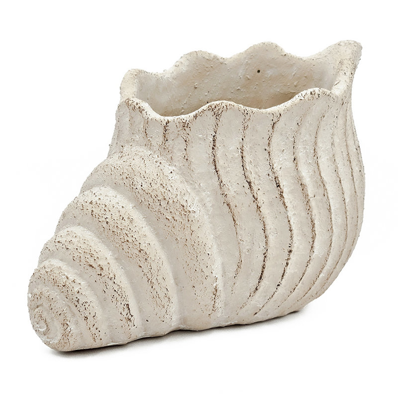 Nautilus Shell Cement Planter With Textured Beige Finish For Indoor And Outdoor Decor