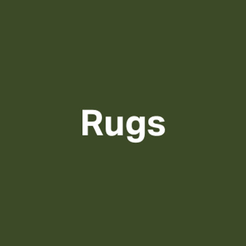 Birch Lane Rugs markdowns